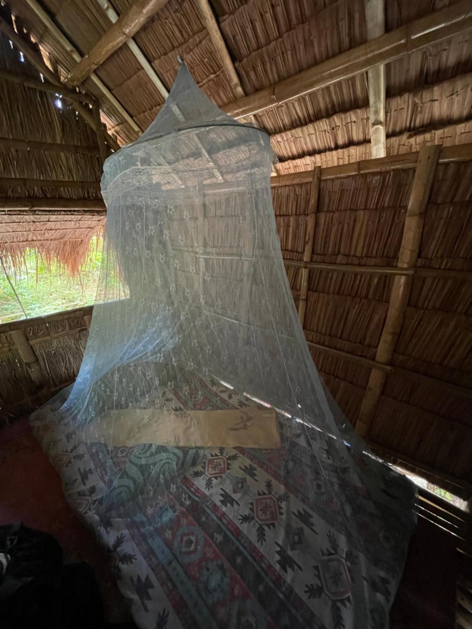 Хостел Tribal Huts Community Daanbantayan Номер фото